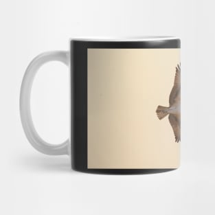 Osprey in Flight Mug